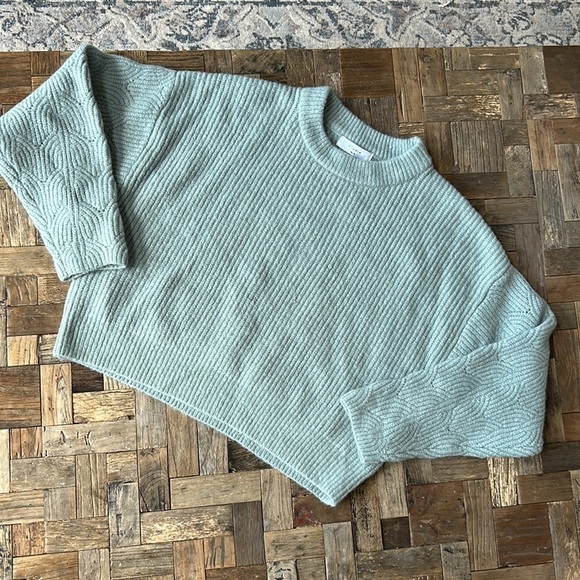 Elodie Pointelle Sleeve Crewneck Sweater Seafoam Green NWT - Picture 1 of 8